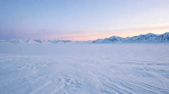 Vast Arctic wilderness landscape showcasing pristine snow-covered tundra under soft polar twilight