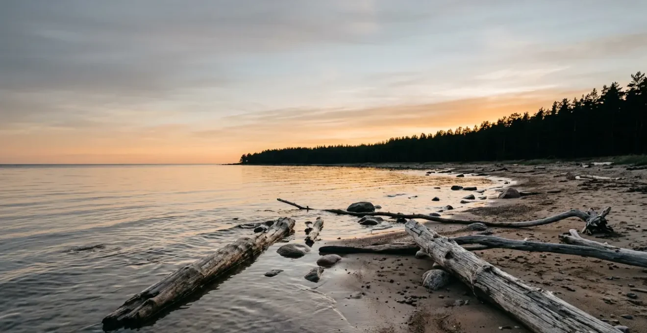Panoramic view of the Baltic Sea coast showcasing its distinctive brackish water ecosystem and natural beauty