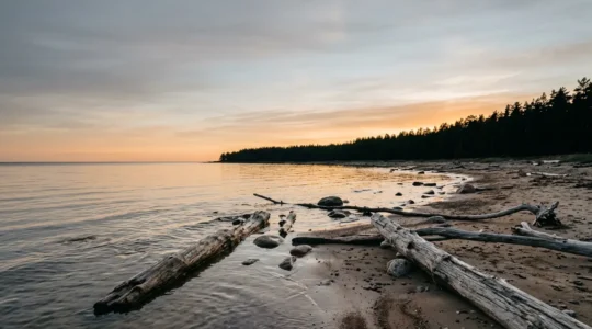 Panoramic view of the Baltic Sea coast showcasing its distinctive brackish water ecosystem and natural beauty