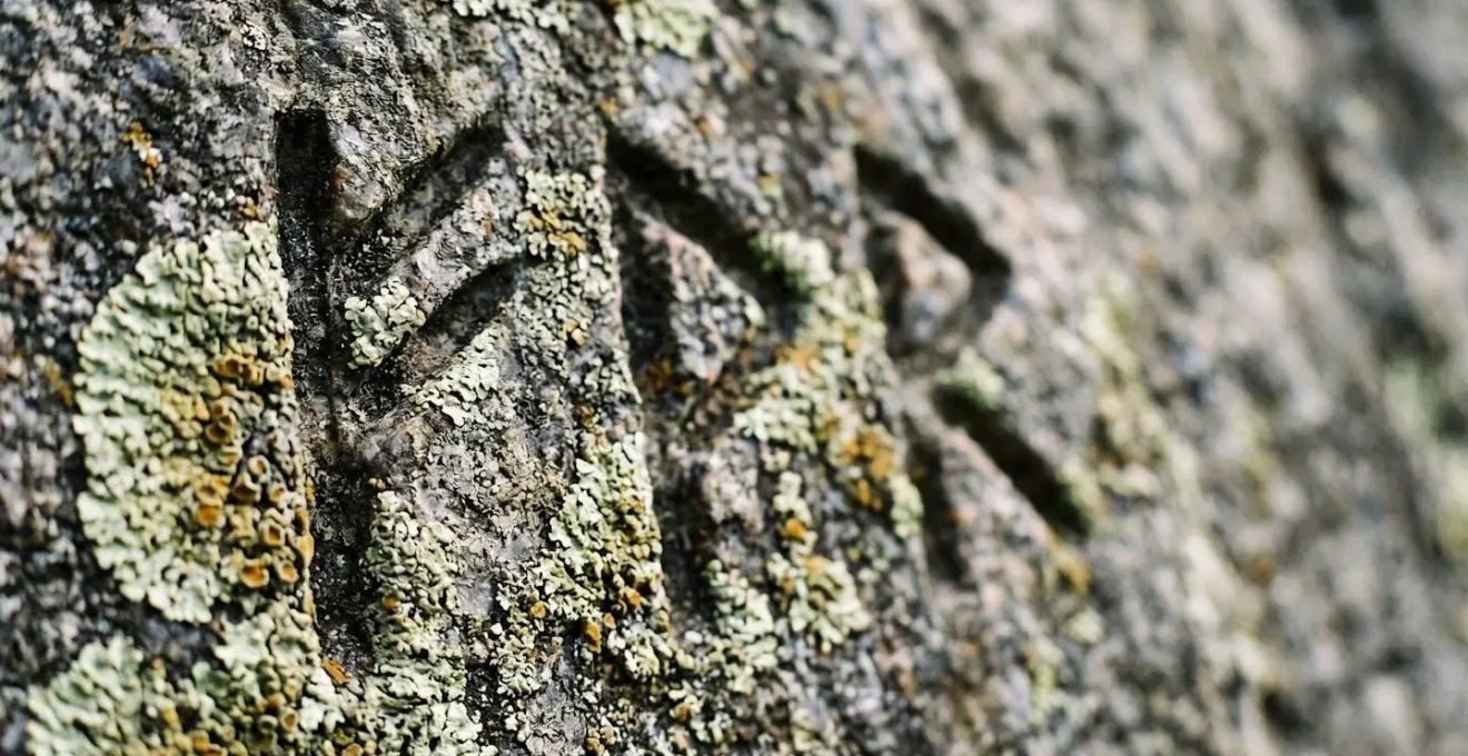 Macro photograph of ancient runic letters carved into weathered granite surface with lichen growth patterns
