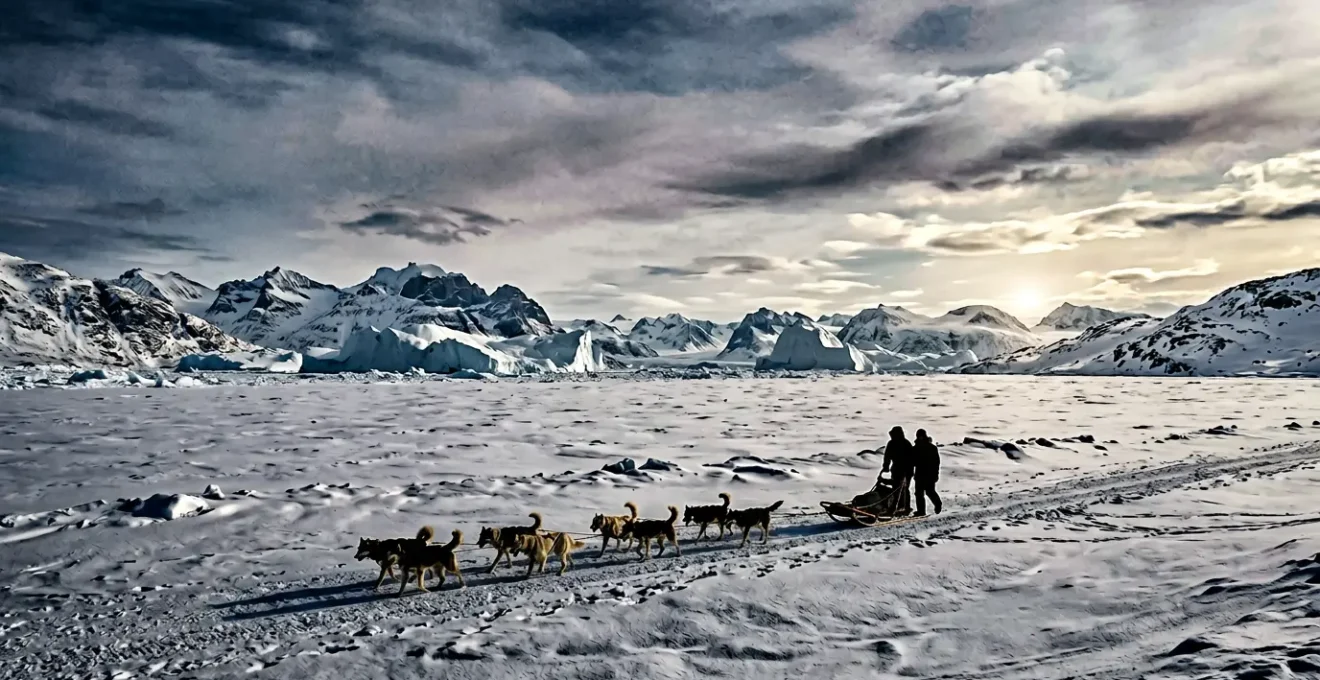 Arctic dogsledding scene across frozen Greenland fjord with distant mountains