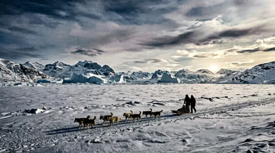 Arctic dogsledding scene across frozen Greenland fjord with distant mountains