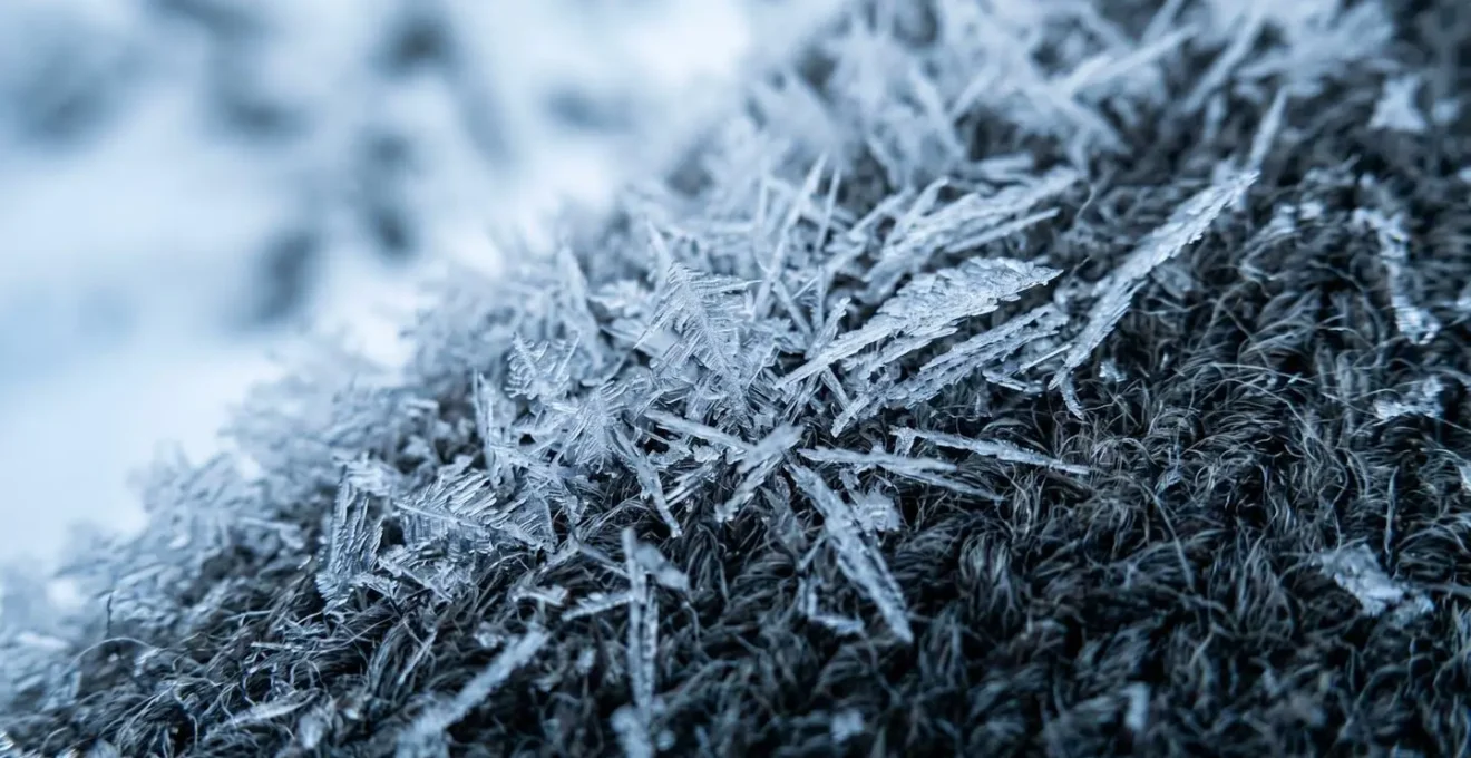 Close-up of snow crystals and ice formations showing extreme cold conditions during high-speed Arctic travel